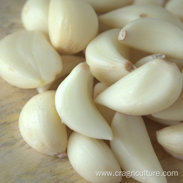 Fresh Garlic Cloves Peeled For Sale